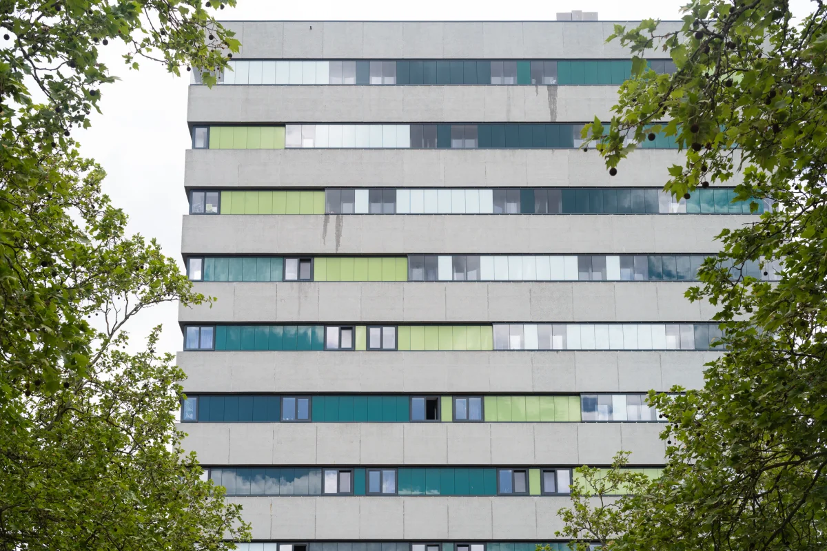 tomdekort.com.Doniger.Rijswijkstraat-4